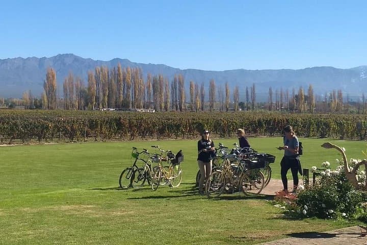 Self-Guided Bike Tour in Luján de Cuyo (Mendoza) — Malbec Wine Country Rental photo 2