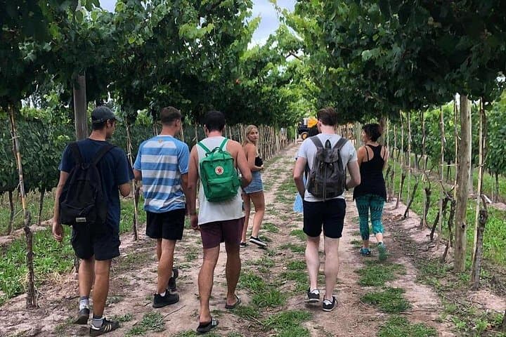 Self-Guided Bike Tour in Luján de Cuyo (Mendoza) — Malbec Wine Country Rental photo 4