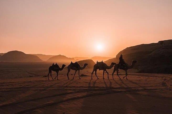 Wadi Rum Jeep Adventure & Bedouin Overnight: Full-Day 4x4 Tour with Meals photo 2
