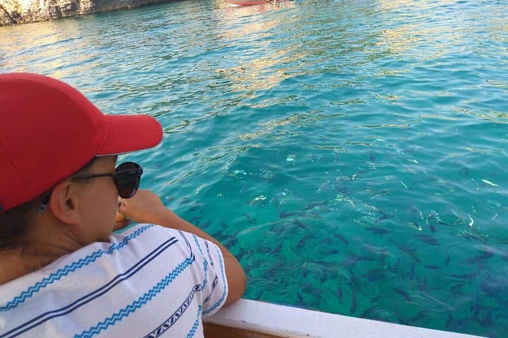 Pula Sunset Glass-Bottom Boat Tour: Swim with Fish & Coastal Caves photo 4