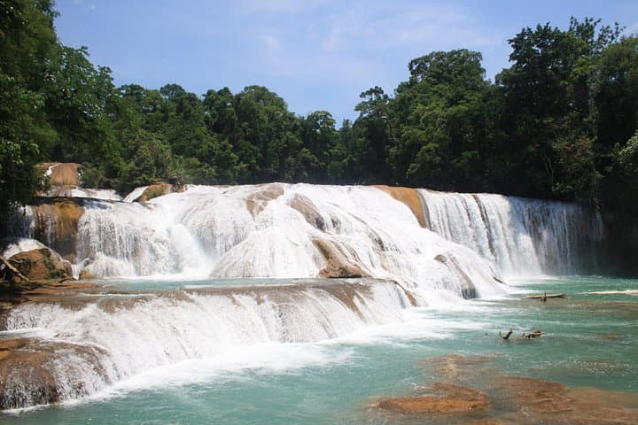 Palenque, Agua Azul & Misol-Ha: Private Day Tour to Mayan Ruins and Waterfalls photo 4