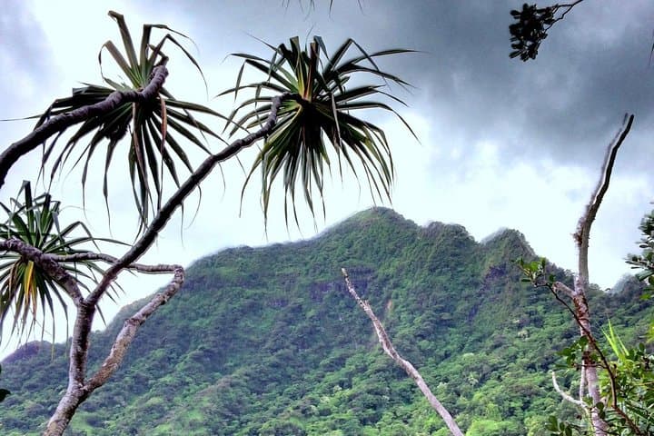 Kualoa Ranch Novice E-Bike Tour — 6-Mile Electric Mountain Bike Ride on Oahu photo 5