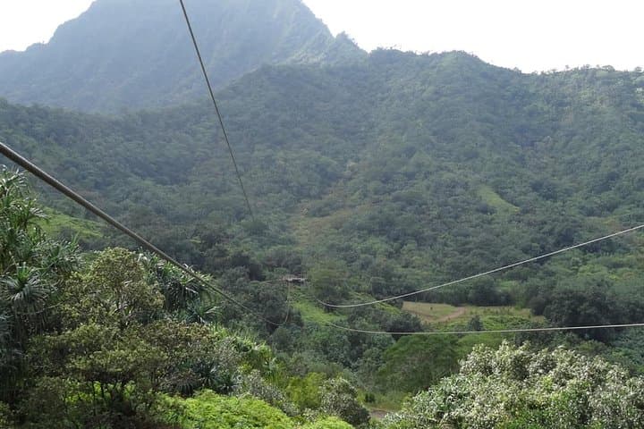 soar-the-treetops-kualoa-ranch-zipline-tour-oahu photo 5