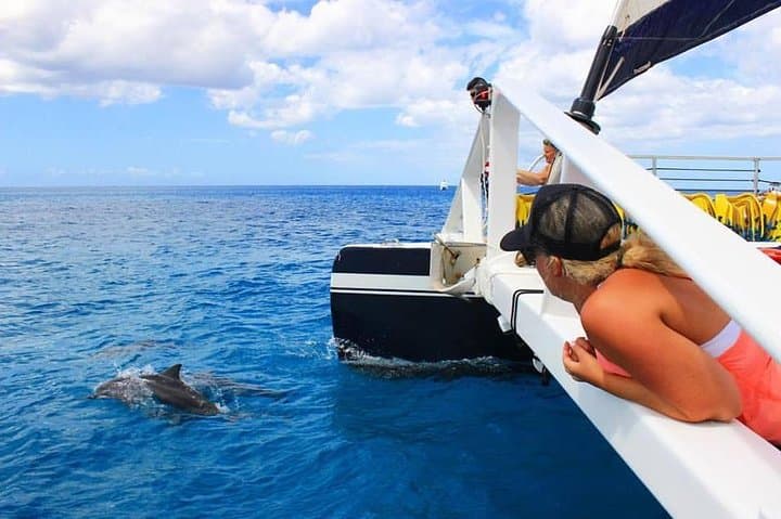 Ko Olina Catamaran Sail and Snorkel — 3-Hour Oahu Cruise with Lunch photo 3