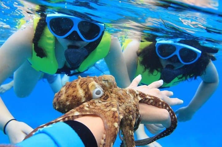 Ko Olina Catamaran Sail and Snorkel — 3-Hour Oahu Cruise with Lunch photo 4
