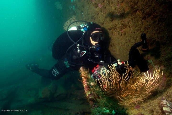 Double Dive Cascais — Two Scuba Dives Along Portugal's Rocky Coast photo 3