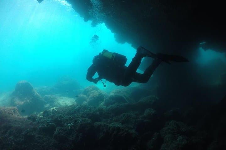 Double Dive Cascais — Two Scuba Dives Along Portugal's Rocky Coast photo 5
