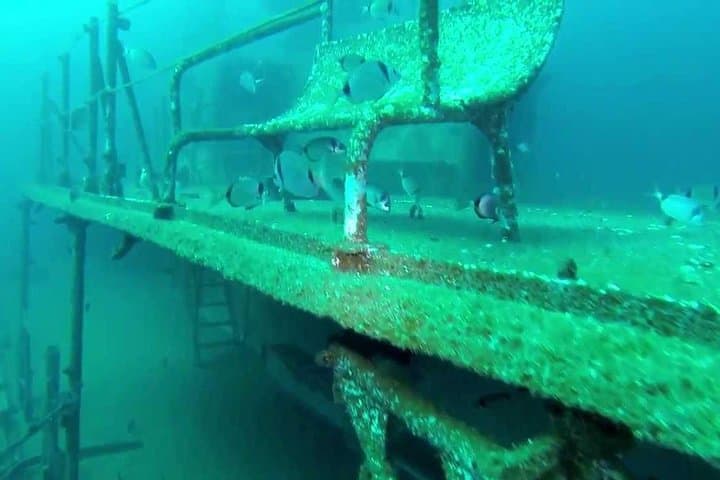 Double Dive Ocean Revival Park: Wreck Diving Off Portimão, Algarve photo 4