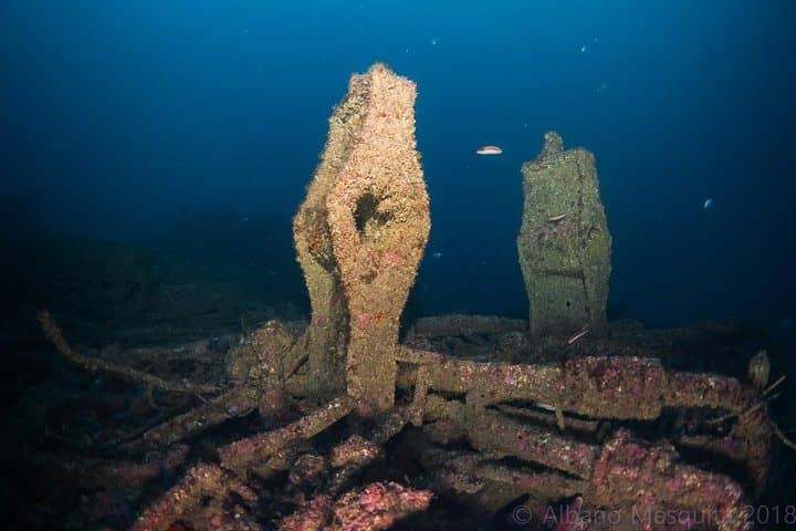 Double Dive Ocean Revival Park: Wreck Diving Off Portimão, Algarve photo 5