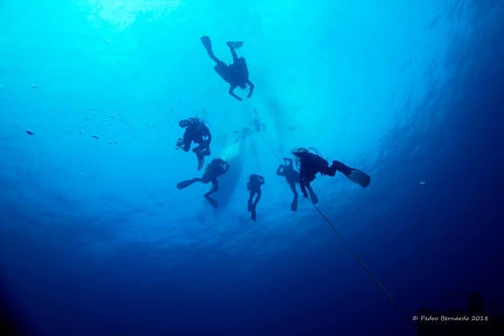 Double Dive Ocean Revival Park: Wreck Diving Off Portimão, Algarve photo 6