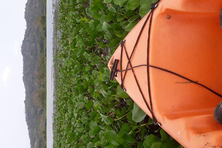 Paddle the Chagres River: Kayak Through Rainforest & Panama Canal Vistas photo 2