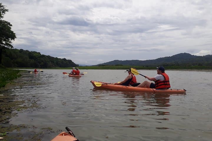 Paddle the Chagres River: Kayak Through Rainforest & Panama Canal Vistas photo 3