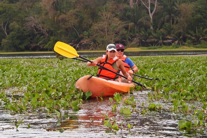 Paddle the Chagres River: Kayak Through Rainforest & Panama Canal Vistas