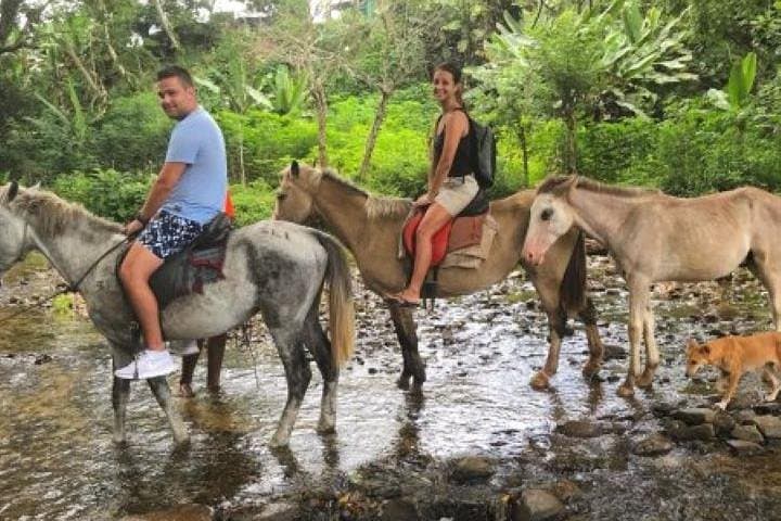 Authentic Fijian Village & Waterfall Day Tour from the Coral Coast photo 3