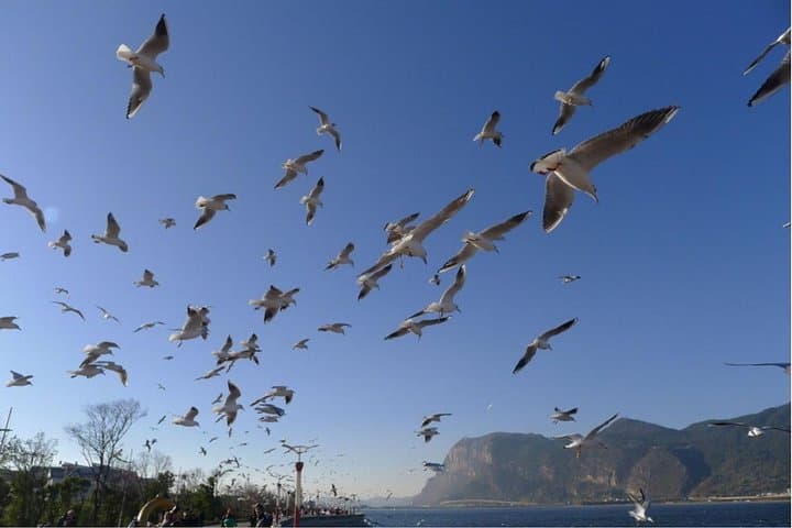 Explore Kunming’s Dianchi Lake & West Hill — 1-Day Private Spring City Tour photo 5