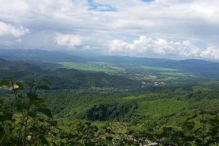 Luang Namtha 5-Day Forest Trek: Homestay, Salt Licks & Jungle Camping photo 3
