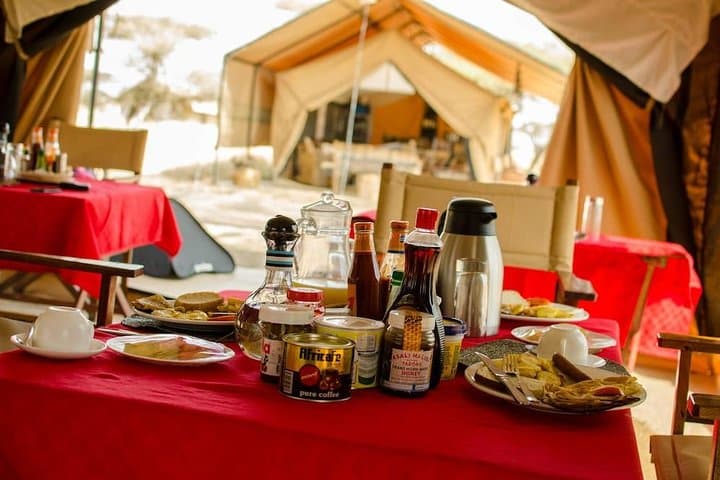 6-Day Serengeti Migration Safari — Private 4x4 Big Five Experience photo 3