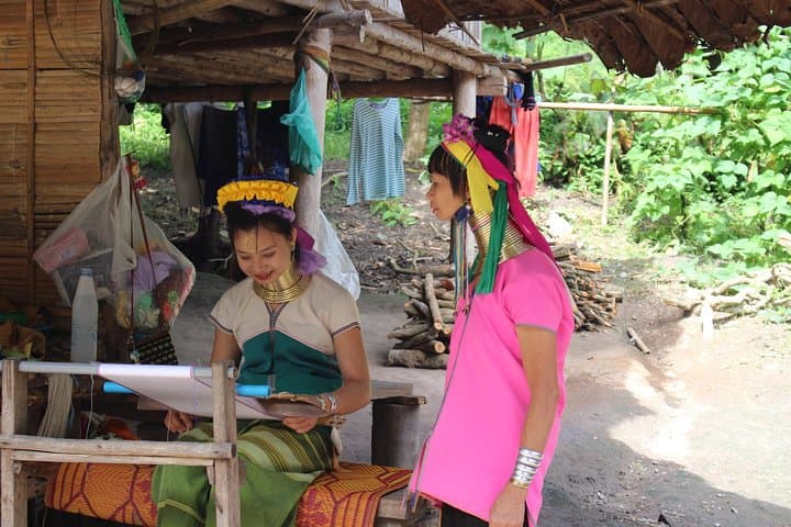Chiang Mai One-Day Nature & Hill Tribe Tour: Canopy Walk, Mon Cham & Elephant PooPoo Park photo 3