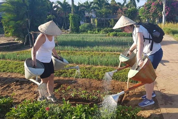 Hoi An Countryside Tour: Tra Que, Cam Thanh & Thanh Ha Afternoon Experience