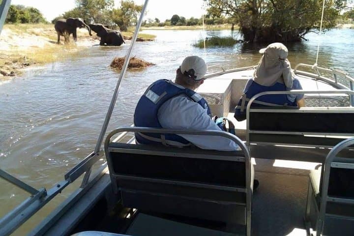 Chobe Full-Day Safari from Livingstone: River Cruise and Game Drive photo 3