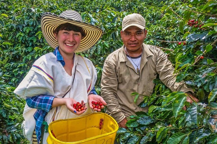 Cali Coffee Tour: Authentic Colombian Coffee Farm Experience