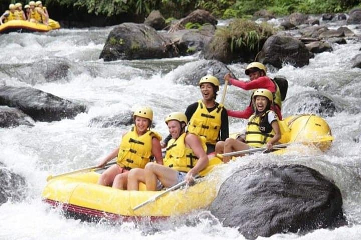 Ubud Ayung River Rafting & Bali Swing: Full-Day Adventure with Lunch and Transfers photo 4
