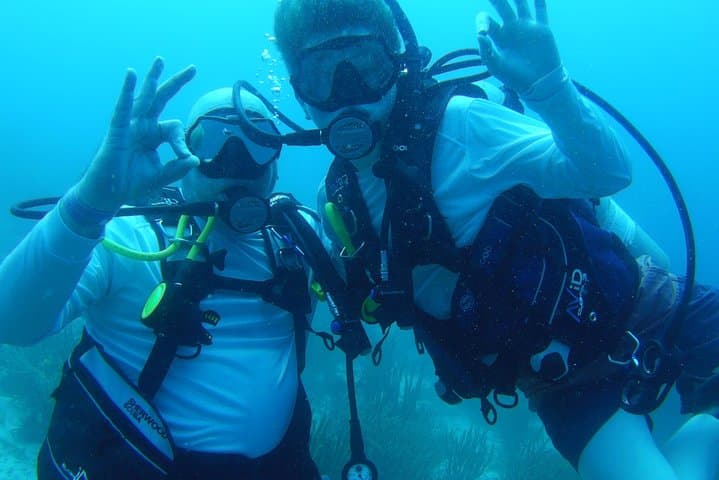 Aruba 1-Tank Guided Dive: Southern Reefs & Wrecks for Certified Divers photo 5