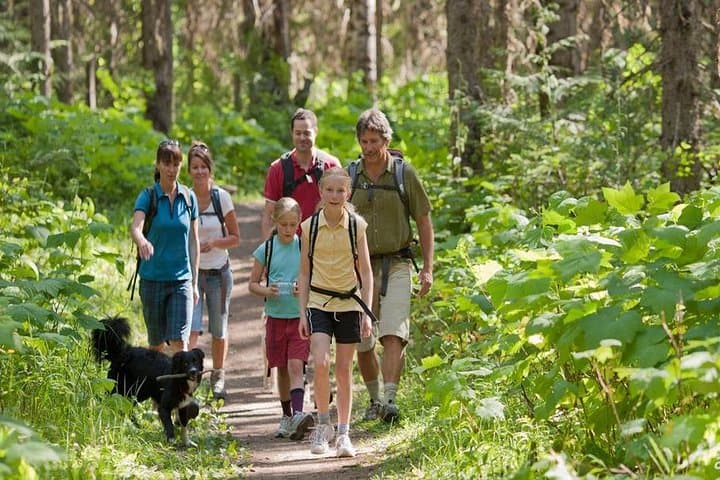 Los Haitises National Park: Boat Tour to Caves, Mangroves & 2‑Hour Rainforest Hike