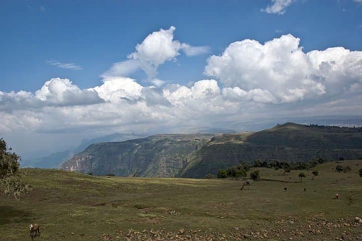 4-Day Simien Mountains Trek: Ras Dejen, Geladas & High-Plateau Camping photo 5