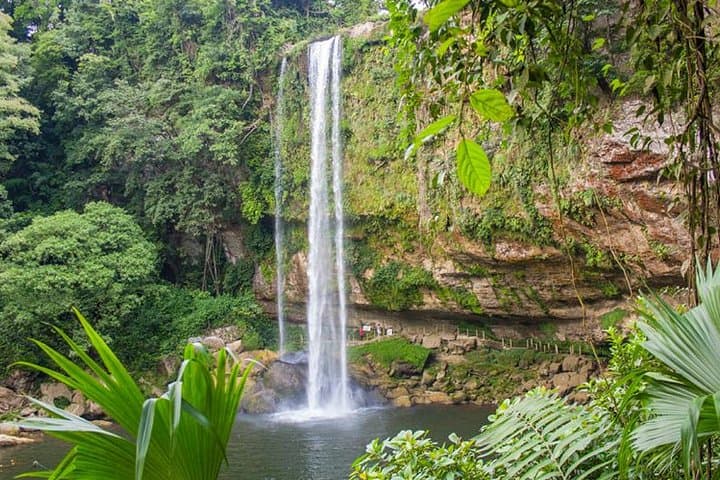 Palenque Ruins, Agua Azul & Misol‑Ha: Day Tour from Palenque photo 6