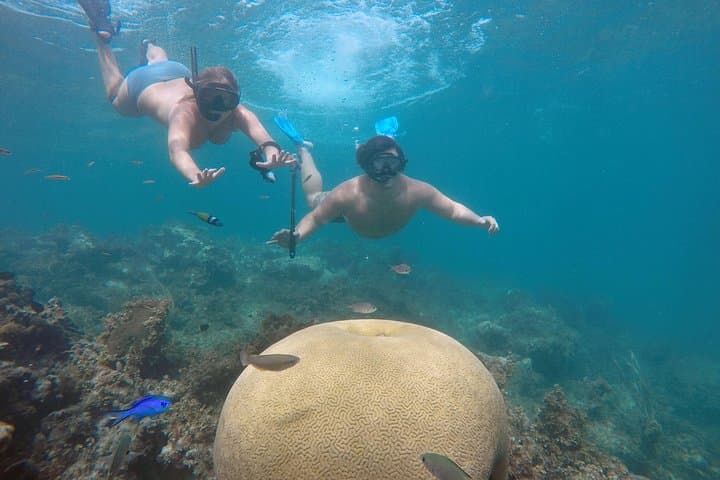 Punta Cana Catamaran Snorkel & Floating Kitchen: Coral Gardens to Natural Pools