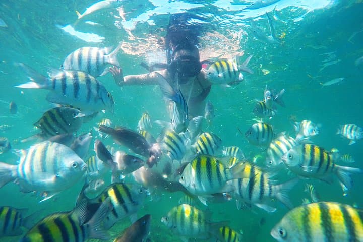 Punta Cana Catamaran Snorkel & Floating Kitchen: Coral Gardens to Natural Pools photo 2