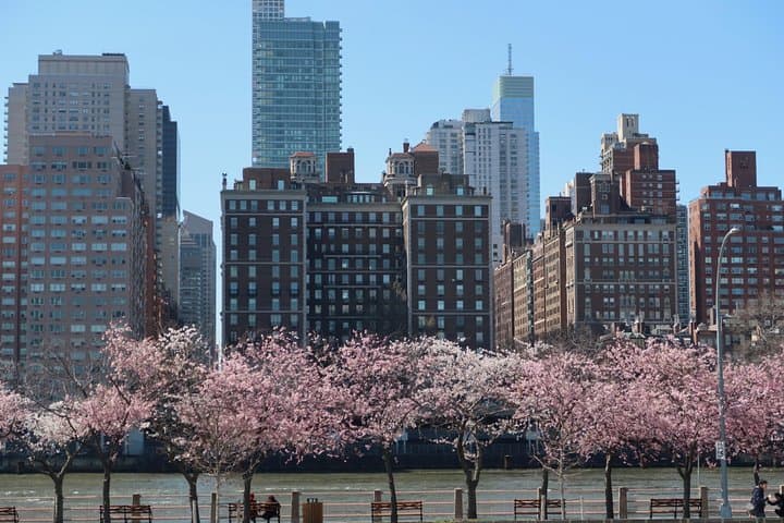 Custom Private Walking Tour of New York City with a Licensed Local Guide photo 2
