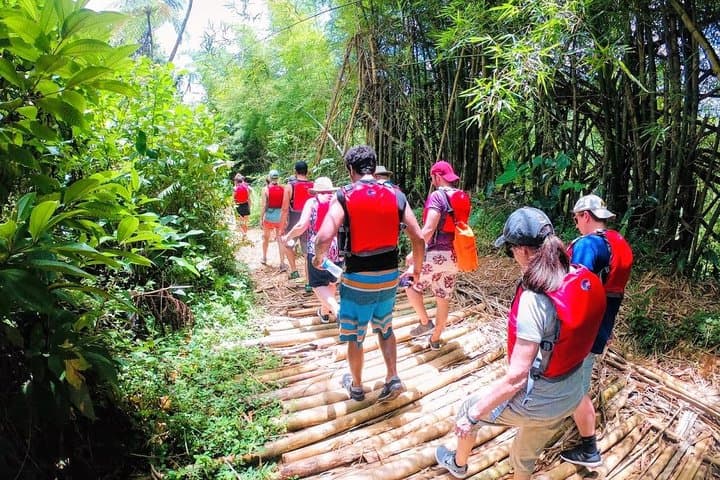 El Yunque Rainforest Waterslide Adventure: Half-Day Tour from San Juan photo 6
