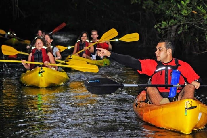 El Yunque Rainforest & Fajardo Bio Bay Day Trip — Hike, Swim and Kayak the Glowing Lagoon photo 5