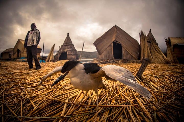 Exploring the Uros Floating Islands: Half-Day Boat Tour from Puno photo 5
