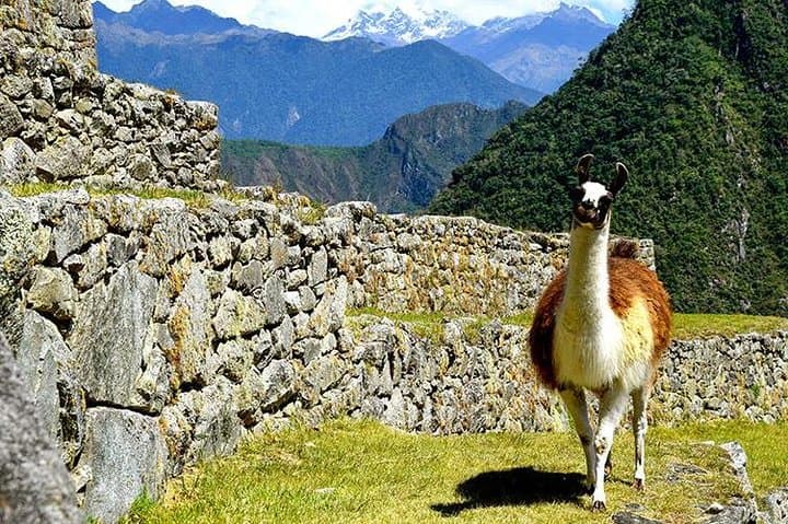 4-Day Inca Quarry Trek to Machu Picchu: Cachicata Quarry, Inti Punku & High Passes photo 2