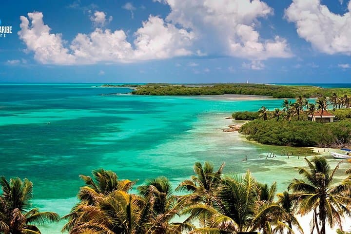 Contoy & Isla Mujeres Day Tour from Cancún — Snorkel Reefs, Bird Sanctuary & Island Streets
