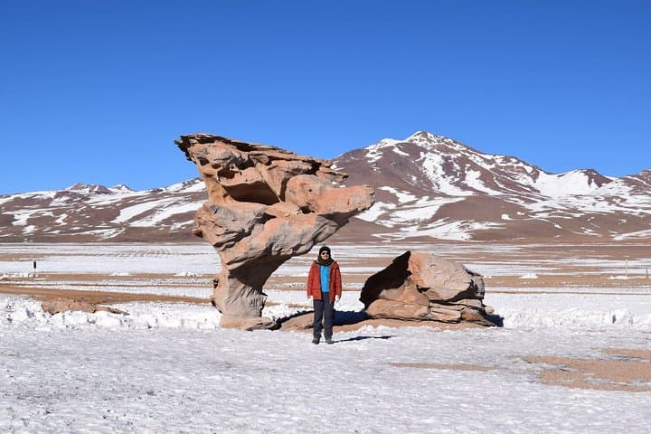 Salar de Uyuni 3-Day Salt-Flat Adventure: Train Cemetery, Incahuasi & Laguna Circuit photo 5