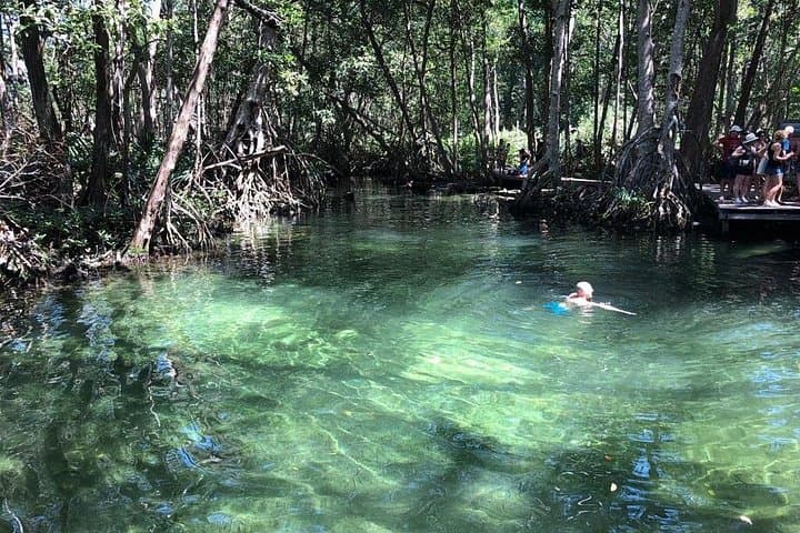 Celestún Flamingo Boat Tour — Isla Pájaros, Mangroves & Beach Day Trip photo 2