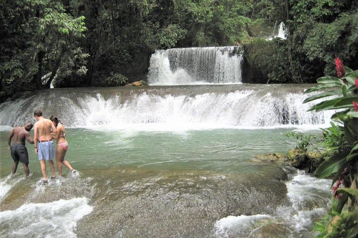 Private YS Falls and Black River Safari: South Coast Jamaica Full-Day Tour photo 4