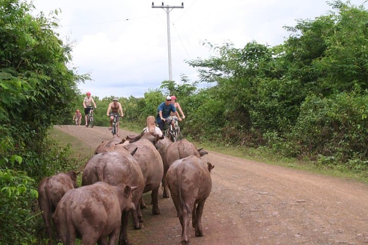 Ride the Rivers: Luang Prabang Mountain Bike Tour to Pak Ou photo 6