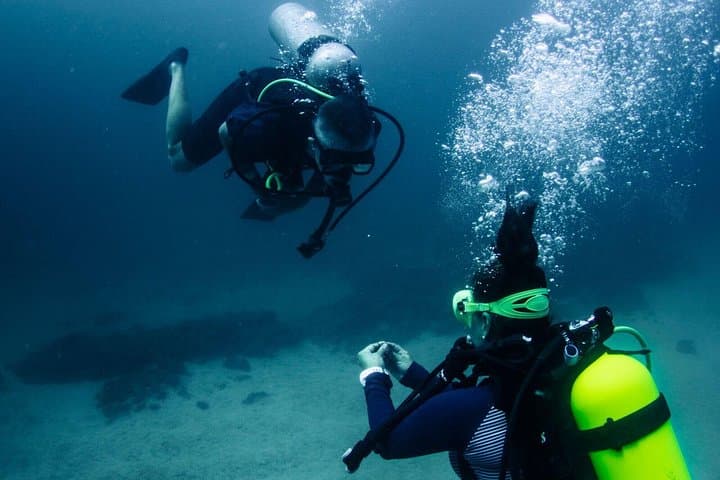 Discover Scuba Diving in Sayulita: PADI Intro Pool Session & Ocean Prep photo 3