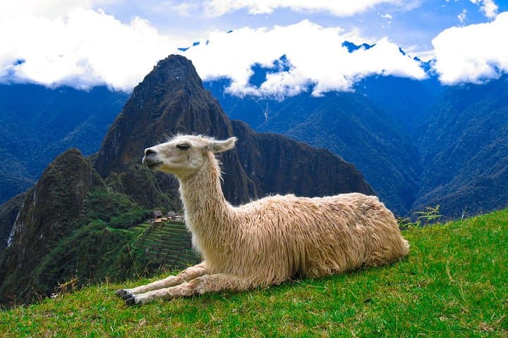Private Machu Picchu Guide: 2.5-Hour Expert Tour with Photo Stops photo 3