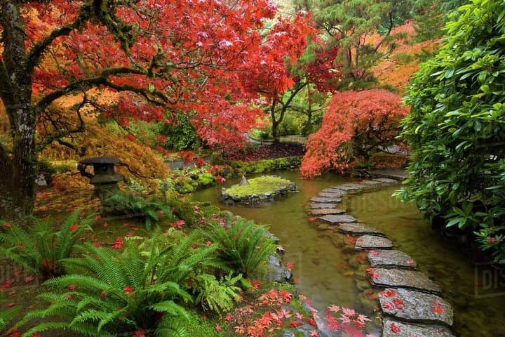 Private Vancouver to Victoria Day Tour — Butchart Gardens, Craigdarroch & Butterfly Garden