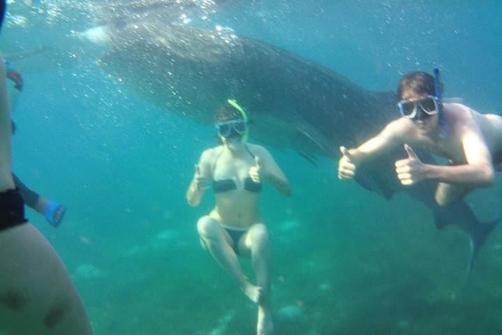 Full-Day Canyoneering and Oslob Whale Shark Swim from Cebu photo 6