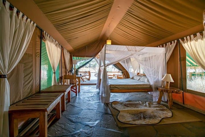 3-Day Masai Mara Budget Safari: Game Drives, Camps & Practical Tips photo 3