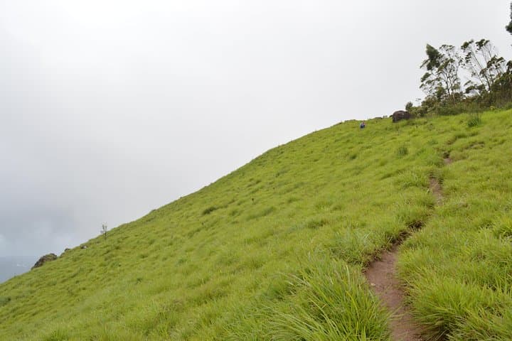 4-Day Munnar, Alleppey Houseboat & Kochi: Tea Hills to Backwater Cruise photo 2