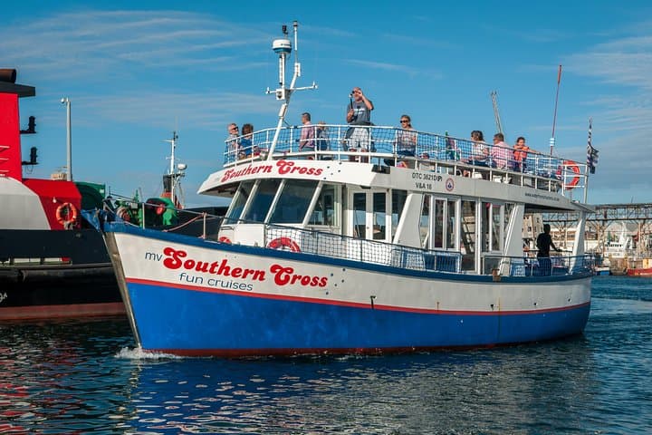 Half-Hour Seal & Harbour Cruise — V&A Waterfront, Cape Town photo 2