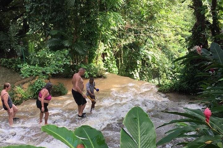 Konoko Falls & Tropical Garden Day Tour from Runaway Bay — Waterfall Climb and Botanical Walk photo 4
